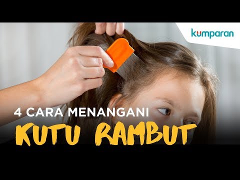 Video: 4 Cara Mencegah Kutu Kepala