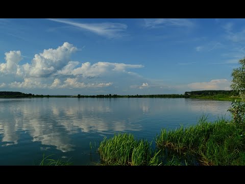 Озеро барсучья грива брянск Озеро барсучья грива брянск