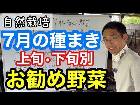 【7月でもまだ間に合う】今から植えられる野菜7選。数週間で収穫できる方法