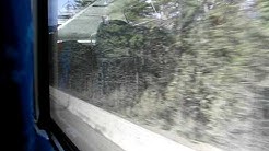 Vancouver Trip on greyhound bus 1272 calgary to vancouver bc 