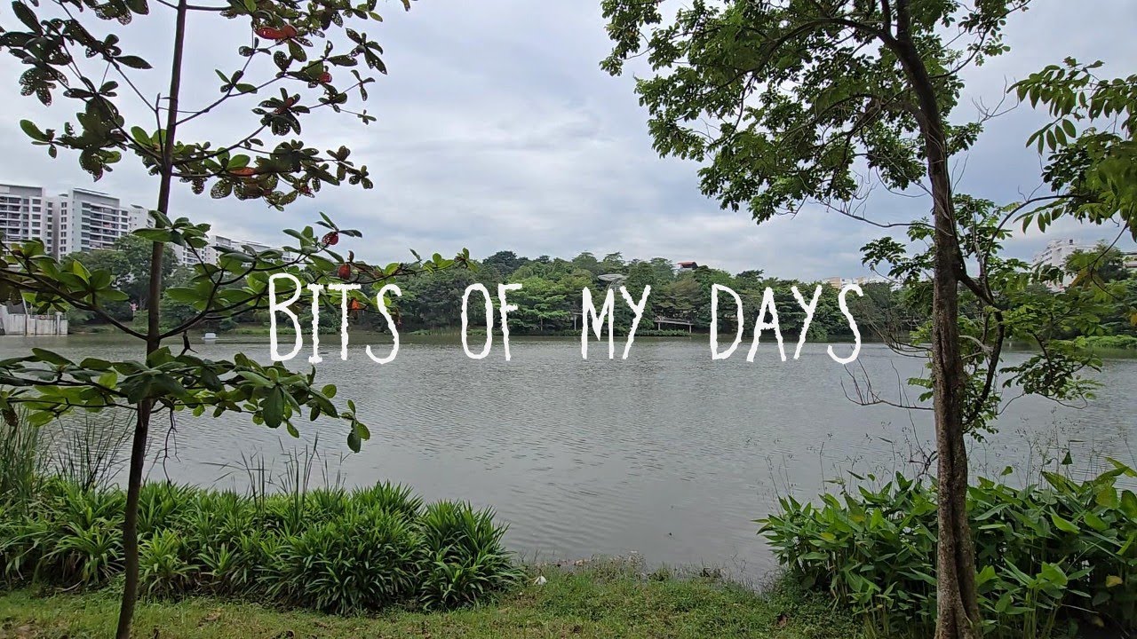 Slow living 🌿New Stove, Home Cooking, Real Food @ Yishun, Yishun Lake