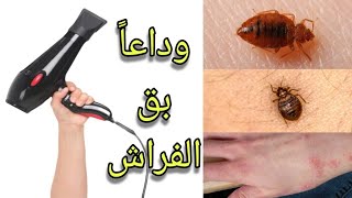 أفضل طريقة على الإطلاق للتخلص من بق الفراش بدون مبيدات كيماوية ضارة 👍