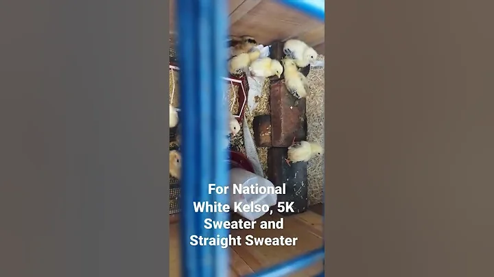 2022 first batch breeding