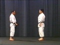 Ippon Kumite