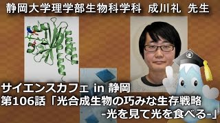 「光合成生物の巧みな生存戦略 -光を見て光を食べる- 」成川礼先生 サイエンスカフェ第106話 理学部生物科学科 - 静岡大学