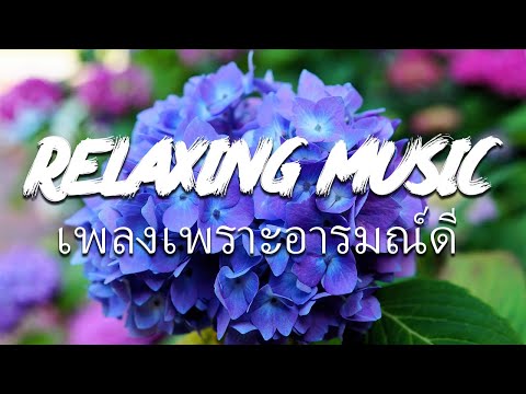 LIVE 🛑 สด ฟังเพลงออนไลน์ เพลงเพราะ ชิลล์ๆ เปิดตลอด 24 ชั่วโมง เพลงเพราะอารมณ์ดี ดนตรีผ่อนคลายยามเช้า