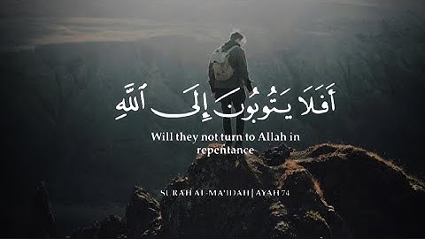 افلا يتوبون الى الله 🥺❤️ ساعة كاملة من أروع تلاوات القران الكريم بصوت القارئ طارق عطية