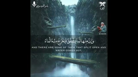 من روائع الشيخ ياسر الدوسري || تلاوة مؤثرة || حالات واتس اب || Quran Status 💙