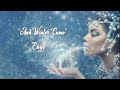 And Winter Came  - Enya (Instrumental)