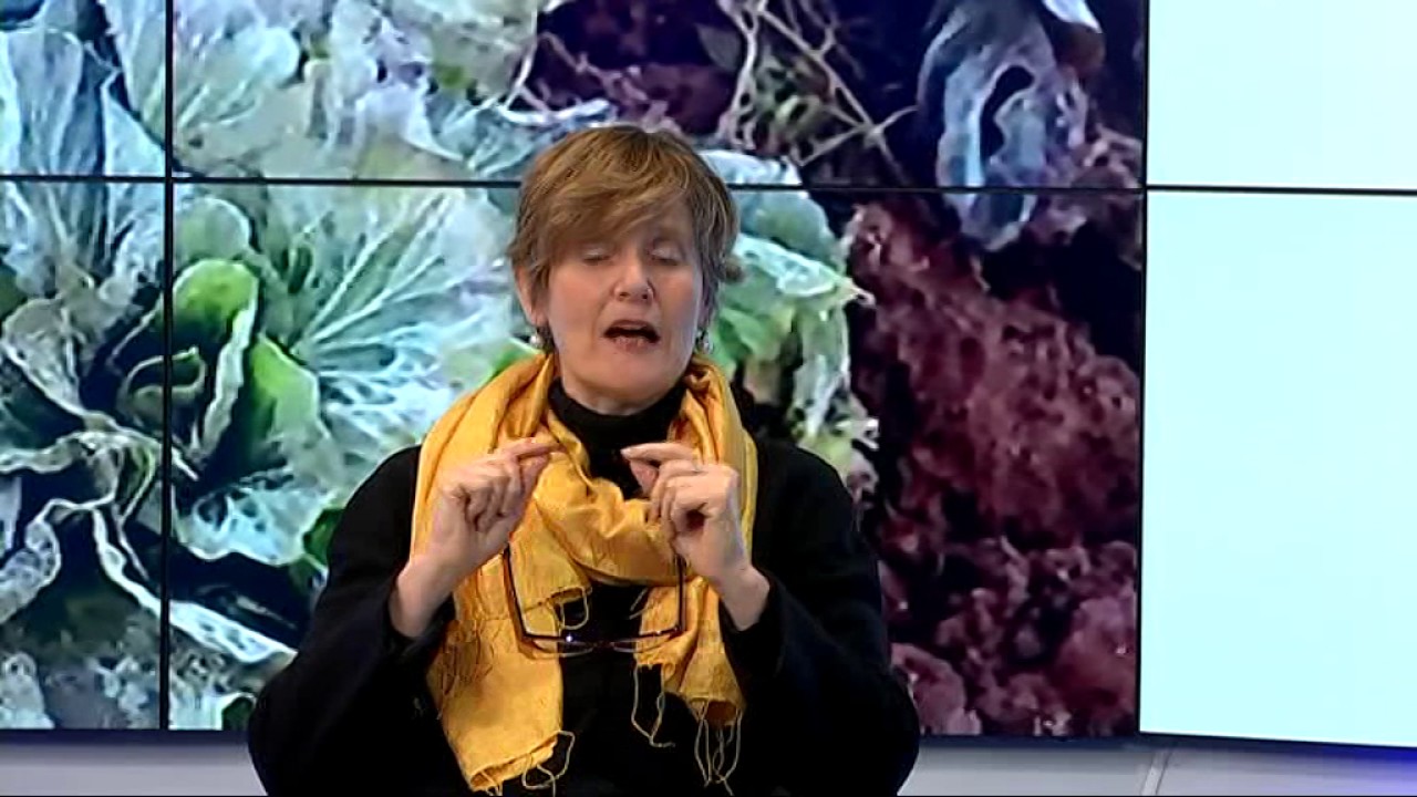 16 feb buongiorno friuli   rosa di gorizia