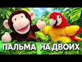 Пальма на двоих 🐒🦜 Есть ли у пальмы хозяин?