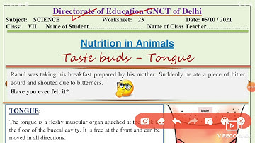 Science Worksheet 23 Class 7 (5/10/21)English Medium / Worksheet 23 Science Class 7/ Worksheet Sci23