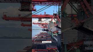 merchant navy|navy status|shorts video #ship #sailorlife #trending #lifeatsea #sailor