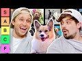 We Rate Dogs for 17 Minutes Straight (Tier List)