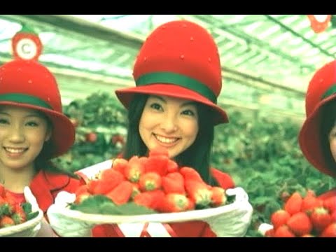 田中麗奈 : ソイジョイ (200804)