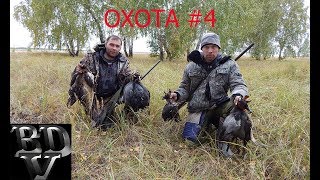 Охота 2017 #4 Охота 2017 #4
