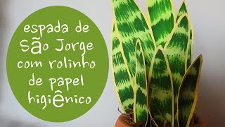 Como fazer espada de São Jorge com rolinho de papel higiênico/ DIY recycled mother-in-law&#39;s tongue