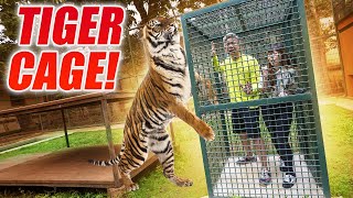 MASUK KANDANG HARIMAU ALSHAD AHMAD!! TIGER CAGE CHALLENGE!!