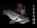 しまなみ海道のドン深サーフでシーバスを狙ってみた！