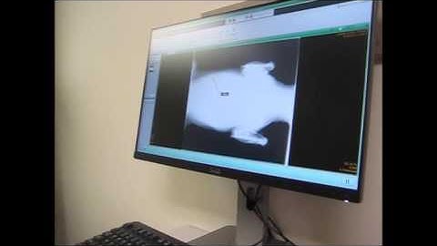 FCRView Training Part 2