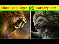 Saber Toothed Tiger vs Barbary Lion कौन जीतेगा इस लड़ाई में? saber tooth tiger vs lion/A.K.Knowledge.