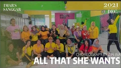 Ace of base - all that she wants || ZUMBA || choreograpy by imar