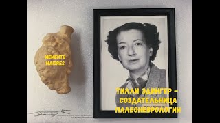 Тилли Эдингер - создательница палеоневрологии. Помни о предках