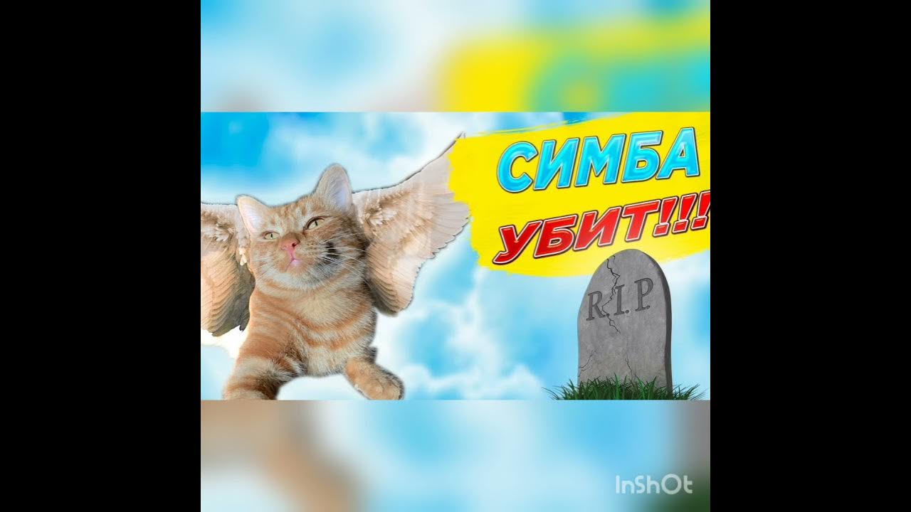 Смешные мемы фото про симбочку No words 9GAG