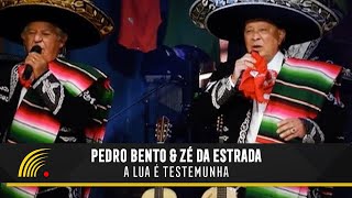 Pedro Bento & Zé Da Estrada Part. Adelaine Ribeiro - A Lua É Testemunha - 55 Anos De Sucesso