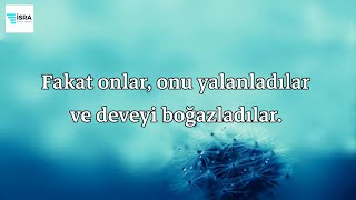 Şems Suresi - Maher al Muaiqly