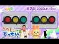 本物は？大きいのは？広いのは？「どっちどっちクイズ」スタートです！（全編公開）【いろりろ公式】