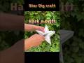 star diy craft with thermacol✌️ #reallifehacks #trend #viral #trend #ideas #househack #diy #hometips