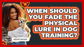 When Should You Fade The Physical Lure In Dog Training? - Obedient Dog Guide