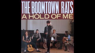 Watch Boomtown Rats A Hold Of Me video