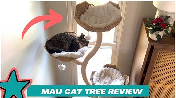 MAU 73" Tall Modern Cat Tree Scratching Tower (Review)
