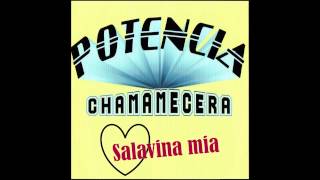 Video thumbnail of "POTENCIA CHAMAMECERA - Año tras año (TEMAZO 2015!!!)"