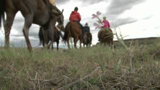 Open Prairie Natural AngusĀ® beef - Golden West Cattle Company Open Prairie Natural AngusĀ® beef - Golden West Cattle Company