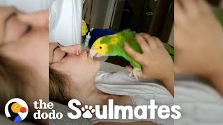 Loyal Parrot Is His Mom's Lifetime Companion | The Dodo Soulmates