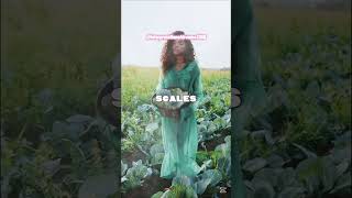 Celebrity Cabbage seeds in dreams 🥬 illness, grief & scales explained ⚖️💔 Net Worth