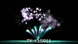 TK KLS011