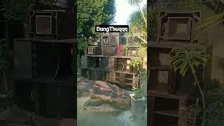 #dungthuk #cekdangdut