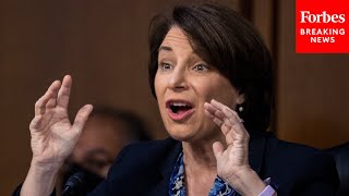 Amy Klobuchar Calls For Stricter Gun Laws For Domestic Abusers