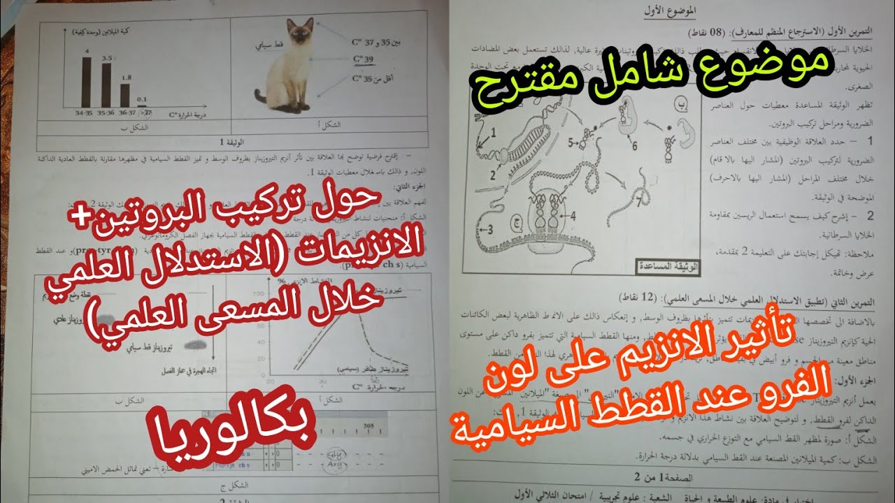 موضوع شامل مقترح حول[ تأثير الانزيم على لون الفرو عند القطط السيامية]/استدلال علمي للسنة 3 ثانوي