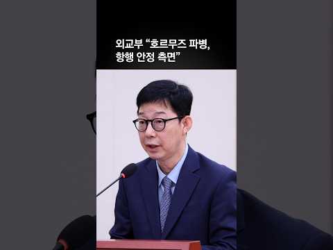 외교부 “호르무즈 파병, 한·미관계 보다 항행 안정 측면”