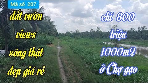Bán đất vườn views sông giá  800 triệu  1 công ở Bình Ninh Chợ gạo tiền Giang@ms207