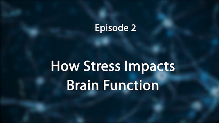 Stress, Trauma, and the Brain: Insights for Educators--How Stress Impacts the Brain - DayDayNews
