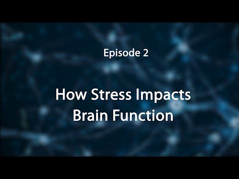 Stress, Trauma, And The Brain: Insights For Educators--How Stress Impacts The Brain