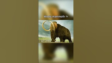 How extinct animals sounded like 💀🔊 #shorts