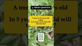Tree Is 15 Years Old Today – How Old in 5 Years? #shorts #iqvistax