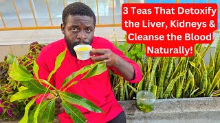 🌿 3 Powerful Herbal Teas to Detox Your Liver, Kidneys & Blood Naturally | Total Cleanse For Body